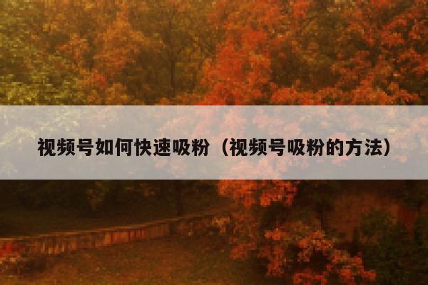 视频号如何快速吸粉（视频号吸粉的方法） 第1张