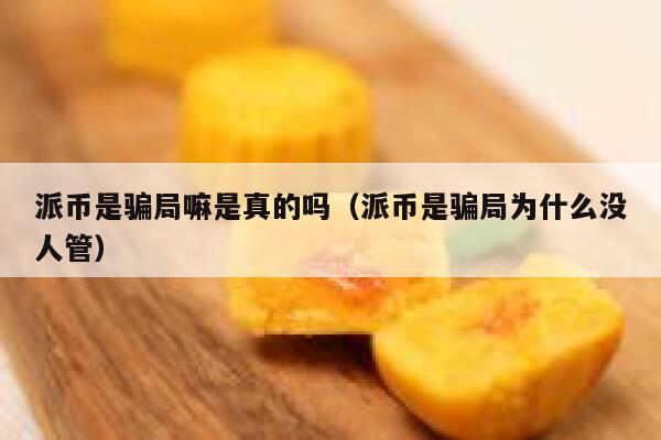 派币是骗局嘛是真的吗（派币是骗局为什么没人管） 第1张