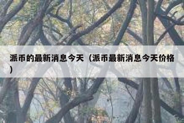 派币的最新消息今天（派币最新消息今天价格） 第1张