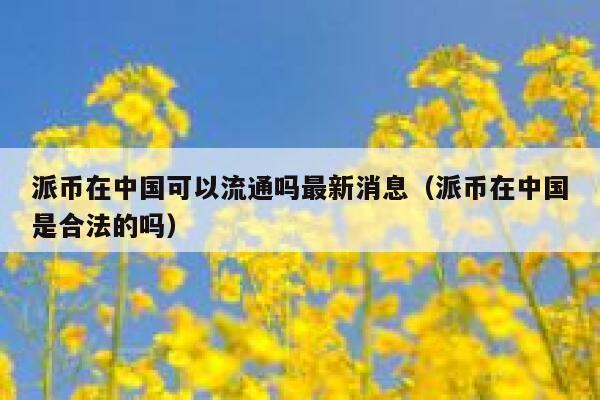 派币在中国可以流通吗最新消息（派币在中国是合法的吗） 第1张