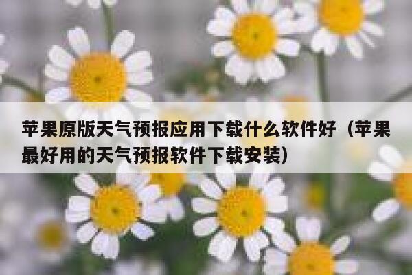 苹果原版天气预报应用下载什么软件好（苹果最好用的天气预报软件下载安装） 第1张