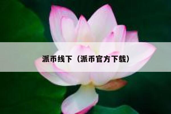 派币线下(派币官方下载) 第1张 派币线下(派币官方下载) 第1张