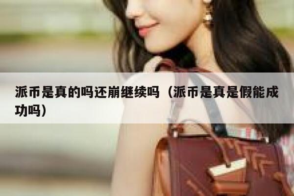 派币是真的吗还崩继续吗（派币是真是假能成功吗） 第1张