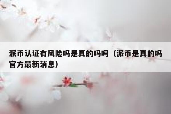 派币认证有风险吗是真的吗吗(派币是真的吗官方最新消息) 第1张 派币认证有风险吗是真的吗吗(派币是真的吗官方最新消息) 第1张