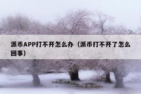 派币APP打不开怎么办（派币打不开了怎么回事） 第1张