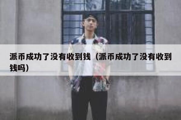 派币成功了没有收到钱（派币成功了没有收到钱吗） 第1张