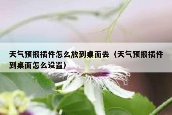 天气预报插件怎么放到桌面去（天气预报插件到桌面怎么设置） 第1张