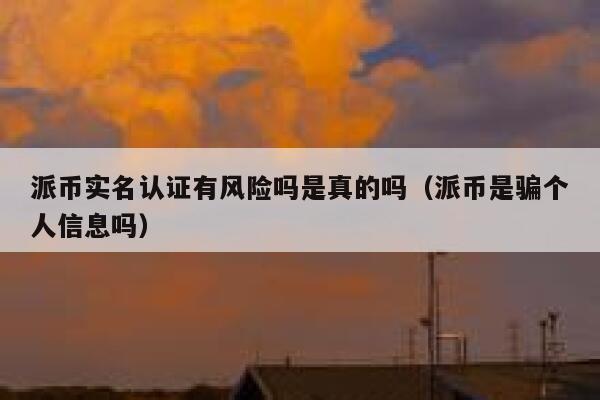 派币实名认证有风险吗是真的吗（派币是骗个人信息吗） 第1张