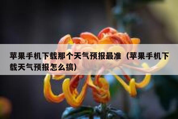 苹果手机下载那个天气预报最准（苹果手机下载天气预报怎么搞） 第1张