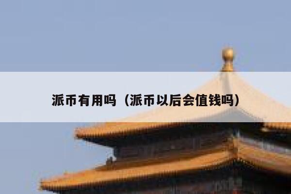 派币有用吗（派币以后会值钱吗） 第1张
