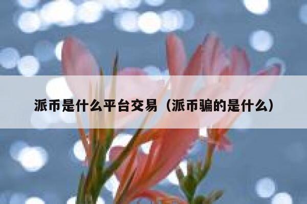 派币是什么平台交易（派币骗的是什么） 第1张