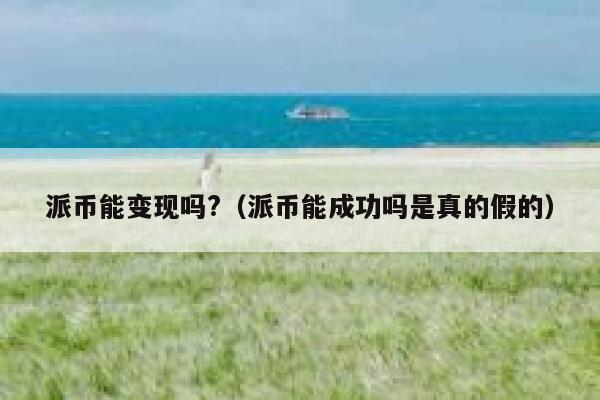 派币能变现吗?（派币能成功吗是真的假的） 第1张