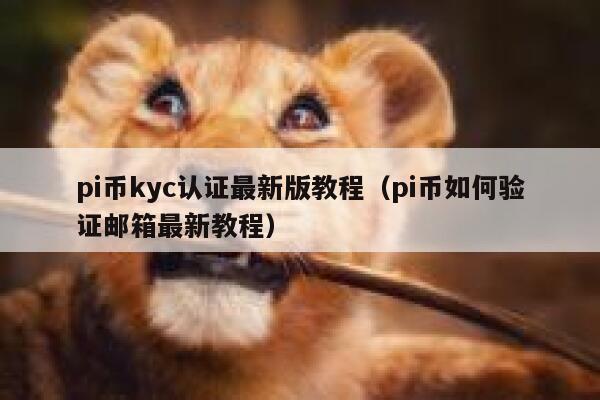 pi币kyc认证最新版教程(pi币如何验证邮箱最新教程) 第1张 pi币kyc认证最新版教程(pi币如何验证邮箱最新教程) 第1张