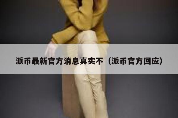 派币最新官方消息真实不(派币官方回应) 第1张 派币最新官方消息真实不(派币官方回应) 第1张