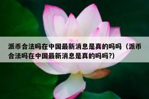 派币合法吗在中国最新消息是真的吗吗（派币合法吗在中国最新消息是真的吗吗?） 第1张
