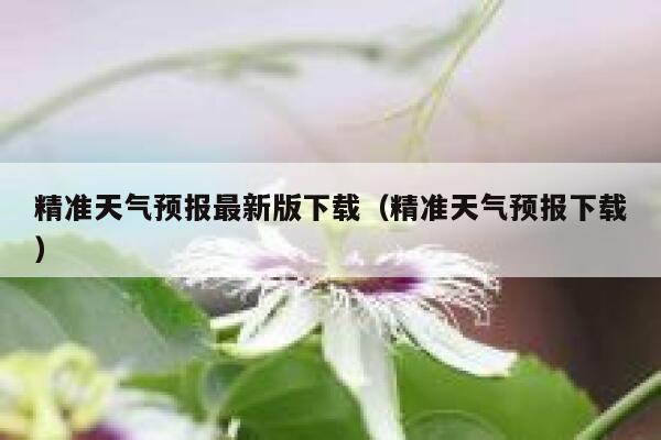 精准天气预报最新版下载(精准天气预报下载) 第1张 精准天气预报最新版下载(精准天气预报下载) 第1张