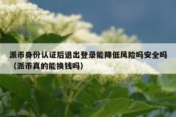 派币身份认证后退出登录能降低风险吗安全吗（派币真的能换钱吗） 第1张