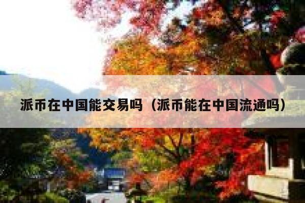 派币在中国能交易吗（派币能在中国流通吗） 第1张