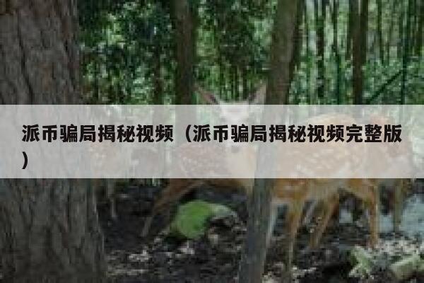 派币骗局揭秘视频（派币骗局揭秘视频完整版） 第1张