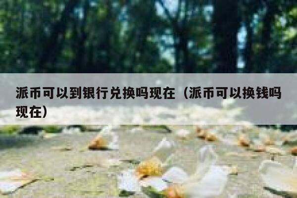 派币可以到银行兑换吗现在(派币可以换钱吗现在) 第1张 派币可以到银行兑换吗现在(派币可以换钱吗现在) 第1张