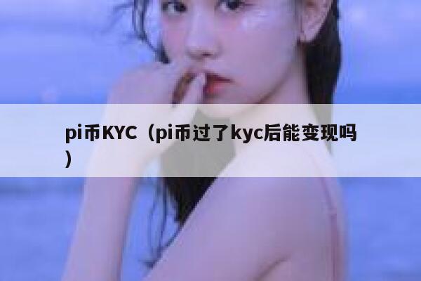 pi币KYC（pi币过了kyc后能变现吗） 第1张
