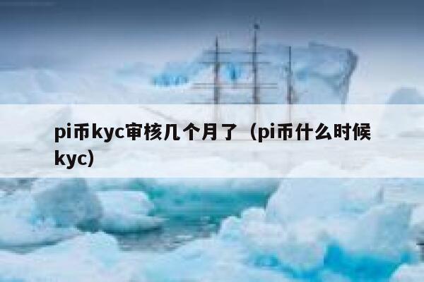pi币kyc审核几个月了（pi币什么时候kyc） 第1张