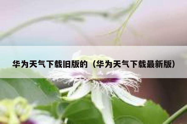华为天气下载旧版的(华为天气下载最新版) 第1张 华为天气下载旧版的(华为天气下载最新版) 第1张