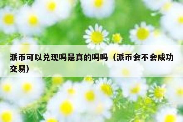 派币可以兑现吗是真的吗吗（派币会不会成功交易） 第1张