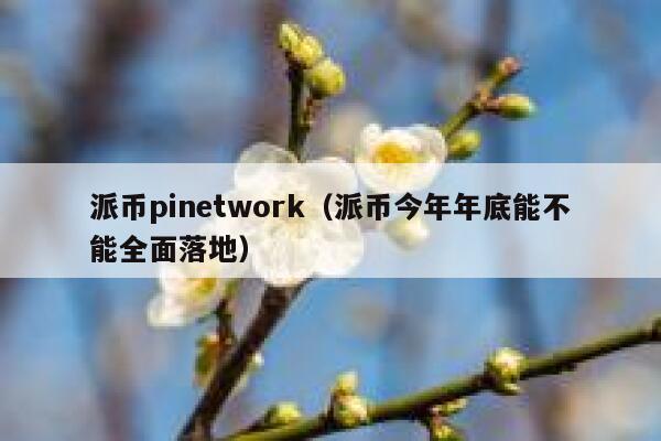 派币pinetwork（派币今年年底能不能全面落地） 第1张