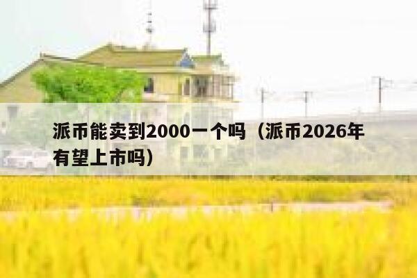 派币能卖到2000一个吗（派币2026年有望上市吗） 第1张