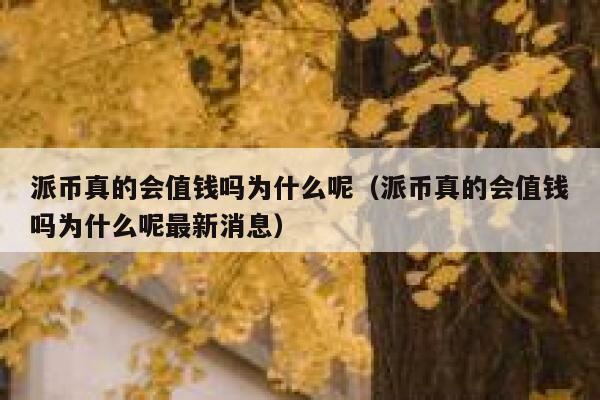 派币真的会值钱吗为什么呢（派币真的会值钱吗为什么呢最新消息） 第1张