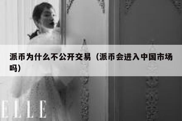 派币为什么不公开交易（派币会进入中国市场吗） 第1张