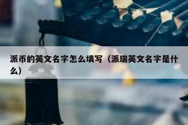 派币的英文名字怎么填写（派瑞英文名字是什么） 第1张