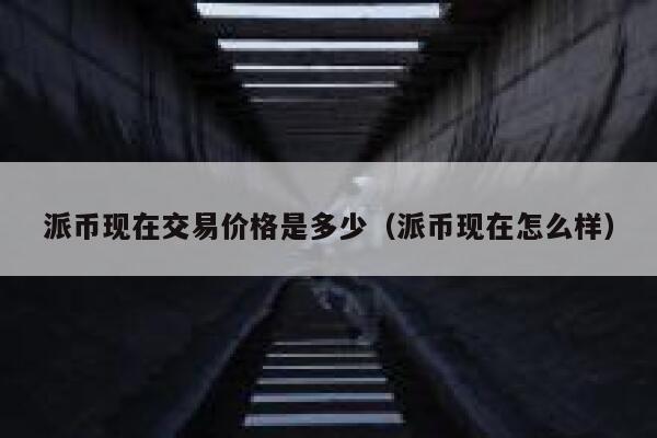 派币现在交易价格是多少（派币现在怎么样） 第1张