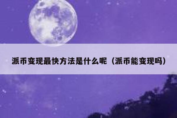 派币变现最快方法是什么呢（派币能变现吗） 第1张