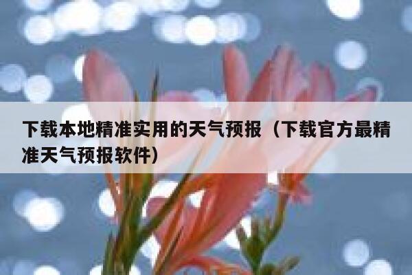 下载本地精准实用的天气预报（下载官方最精准天气预报软件） 第1张