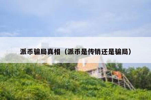 派币骗局真相（派币是传销还是骗局） 第1张