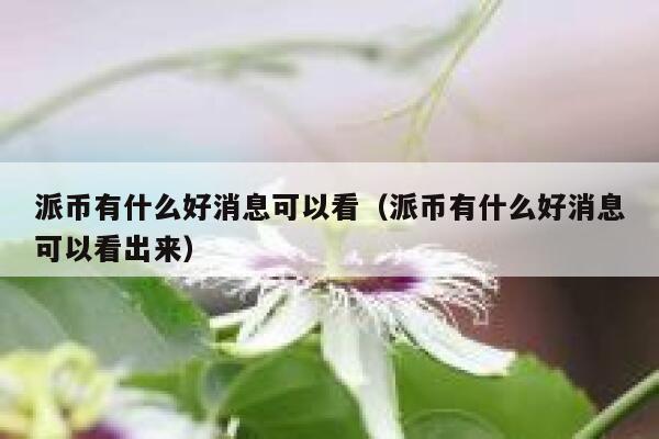 派币有什么好消息可以看(派币有什么好消息可以看出来) 第1张 派币有什么好消息可以看(派币有什么好消息可以看出来) 第1张