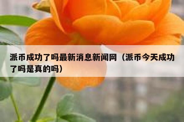 派币成功了吗最新消息新闻网(派币今天成功了吗是真的吗) 第1张 派币成功了吗最新消息新闻网(派币今天成功了吗是真的吗) 第1张