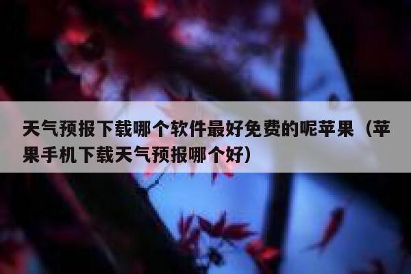 天气预报下载哪个软件最好免费的呢苹果（苹果手机下载天气预报哪个好） 第1张