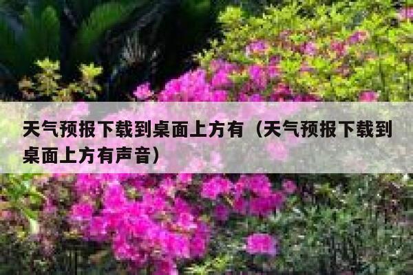 天气预报下载到桌面上方有（天气预报下载到桌面上方有声音） 第1张