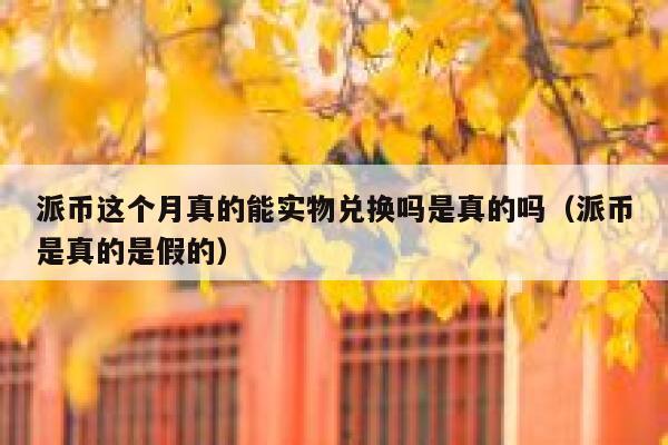 派币这个月真的能实物兑换吗是真的吗（派币是真的是假的） 第1张