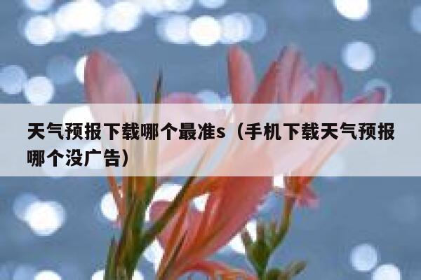 天气预报下载哪个最准s（手机下载天气预报哪个没广告） 第1张