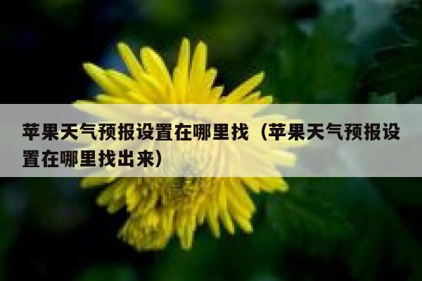 苹果天气预报设置在哪里找（苹果天气预报设置在哪里找出来） 第1张