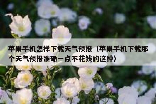 苹果手机怎样下载天气预报(苹果手机下载那个天气预报准确一点不花钱的这种) 第1张 苹果手机怎样下载天气预报(苹果手机下载那个天气预报准确一点不花钱的这种) 第1张