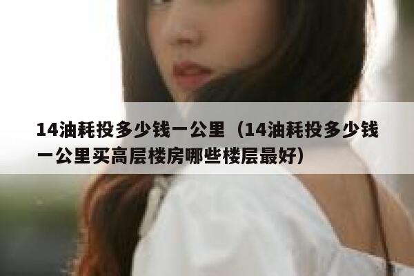 14油耗投多少钱一公里（14油耗投多少钱一公里买高层楼房哪些楼层最好） 第1张