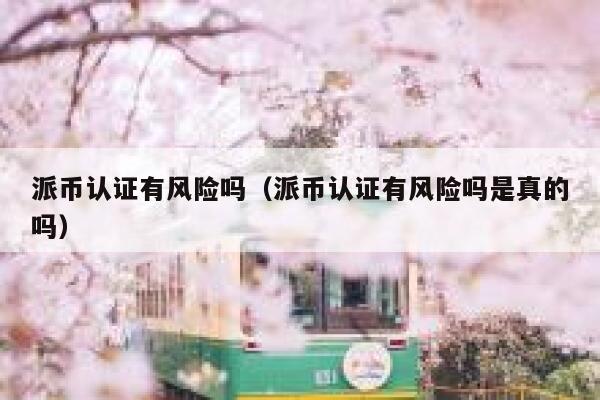 派币认证有风险吗（派币认证有风险吗是真的吗） 第1张