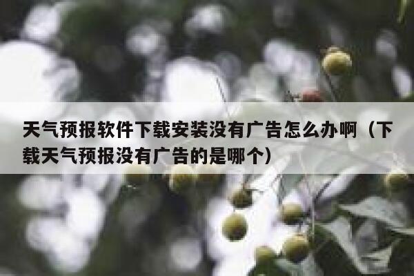 天气预报软件下载安装没有广告怎么办啊（下载天气预报没有广告的是哪个） 第1张