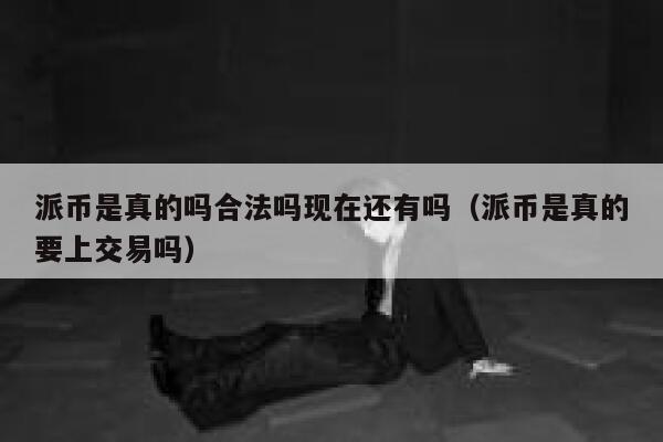 派币是真的吗合法吗现在还有吗（派币是真的要上交易吗） 第1张