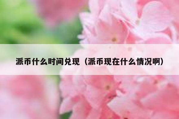 派币什么时间兑现（派币现在什么情况啊） 第1张